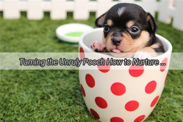 Taming the Unruly Pooch How to Nurture Your Quirky Canine Companion